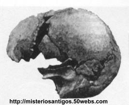 Crânio humano moderno encontrado na Itália.