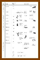Tabela Geológica.